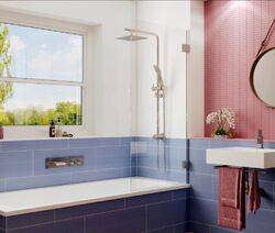 Cтеклянная шторка для ванны Ambassador Bath Screens 16041101